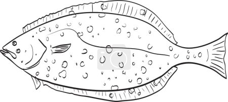 Illustration for California halibut Side View Cartoon Drawing - Royalty Free Image