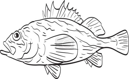 Ilustración de Línea de pez roca de China dibujo de dibujos animados - Imagen libre de derechos