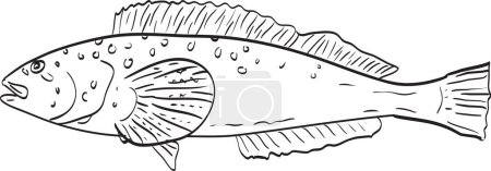 Illustration for Kelp greenling Side View Cartoon Drawing - Royalty Free Image