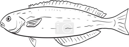 Ilustración de Ocean whitefish Vista lateral Dibujo de dibujos animados - Imagen libre de derechos