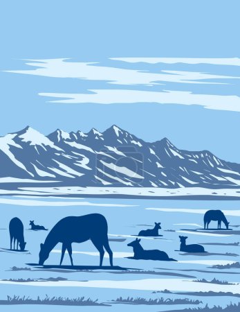 Téléchargez les photos : Affiche d'art WPA de Wapiti ou wapiti au National Elk Refuge situé à Jackson Hole, Wyoming États-Unis d'Amérique fait dans l'administration de projets d'œuvres ou style Art déco - en image libre de droit