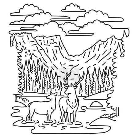 Ilustración de Mono line illustration of elk or wapiti in Rocky Mountain National Park in northern Colorado spanning the Continental Divide in the United States of America done in monoline line art style - Imagen libre de derechos