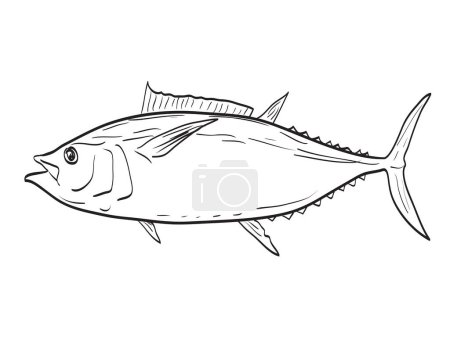 Illustration for Atlantic Bigeye Tuna Fish in New England and Mid Atlantic Cartoon Drawing - Royalty Free Image