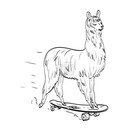 Ilustración de Suri Alpaca Skateboarding en Penny Board Dibujo medieval - Imagen libre de derechos