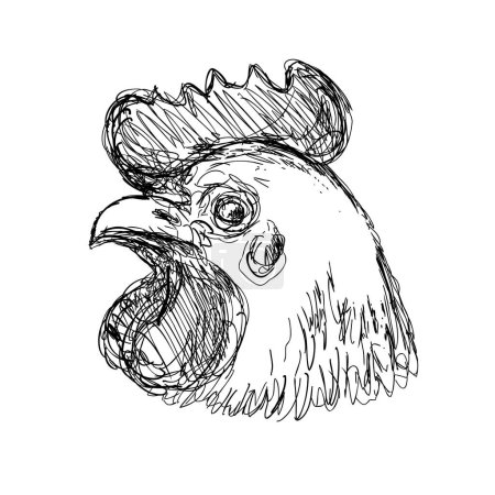 Ilustración de Dibujo ilustración estilo boceto de una cabeza de un pollo o gallina Leghorn visto desde un lado hecho en el arte de línea en blanco y negro - Imagen libre de derechos