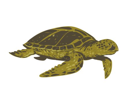 Illustration for WPA poster art of a green sea turtle, also known as the green turtle, black turtle or Pacific green turtle swimming viewed from side done in works project administration or federal art project style - Royalty Free Image