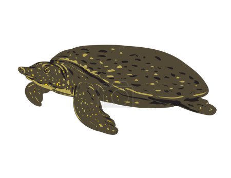 Téléchargez les illustrations : Affiche d'art WPA d'une tortue molle asiatique, d'une tortue molle d'Asie du Sud-Est, d'une Amyda ornata ou d'une tortue molle à rayures noires, d'une Amyda cartilaginea réalisée dans un style d'administration de projet de travaux - en licence libre de droit
