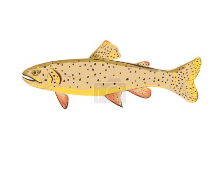 Illustration for WPA poster art of a Apache trout Oncorhynchus apache or Arizona trout, a freshwater fish in the salmon family viewed from side done in works project administration or federal art project style - Royalty Free Image