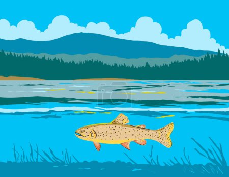 Illustration for WPA poster art of an Apache trout or Arizona trout in Lee Valley Lake in the Apache Sitgreaves National Forests in Arizona done in works project administration or federal art project style - Royalty Free Image