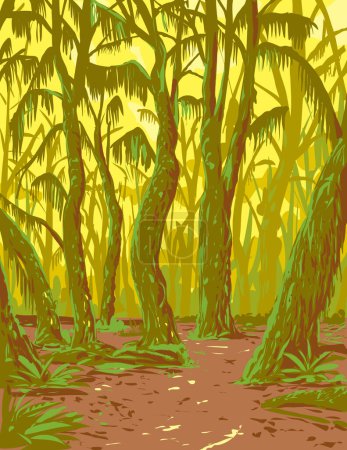 Ilustración de Arte del cartel del WPA de Hoh Rainforest, un bosque lluvioso templado en la península olímpica en el Parque Nacional Olímpico en el estado de Washington, EE. UU., hecho en administración de proyectos de obras o estilo de proyecto de arte federal - Imagen libre de derechos