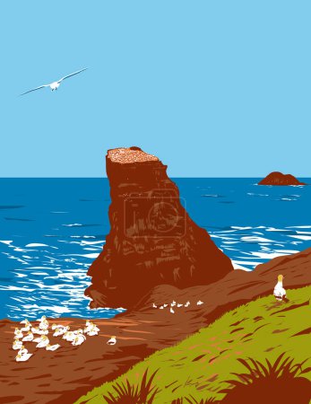 Téléchargez les illustrations : Affiche Art déco ou WPA de Muriwai gannet colonie dans le parc régional de Muriwai sur la côte ouest de la région d'Auckland dans le nord de l'île de Nouvelle-Zélande fait dans le style d'administration de projet de travaux - en licence libre de droit