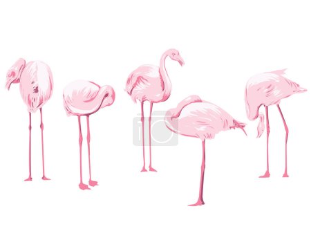Illustration for Art Deco or WPA poster art of a flock of flamingos or flamboyance viewed from side on isolated white background done in works project administration style. - Royalty Free Image