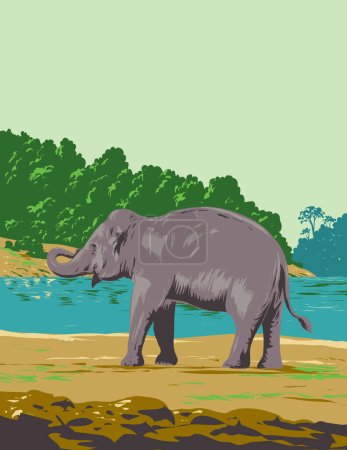 Ilustración de Cartel Art Deco o WPA de un elefante indio a lo largo del río Mahanadi en la Reserva de Elefantes de Mahanadi ubicada en Odisha, India, realizado en estilo de administración de proyectos de obras - Imagen libre de derechos