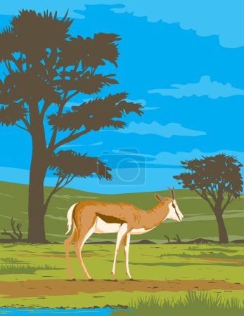 Ilustración de Cartel Art Deco o WPA de un springbok o springbuck Antidorcas marsupialis en Kgalagadi Transfrontier Park ubicado entre Sudáfrica y Botswana, África realizado en estilo de administración de proyectos de obras - Imagen libre de derechos