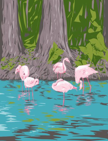 Illustration for WPA poster art of a group of flamingo or flamboyance in Everglades National Park in Florida, United States USA done in works project administration or Art Deco style - Royalty Free Image
