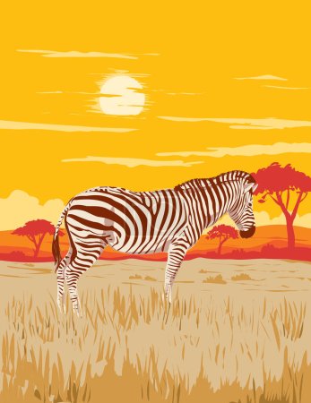 Ilustración de Cartel Art Deco o WPA de una llanura de cebra en praderas y llanuras de Acacia del Parque Nacional del Serengeti ubicado en el norte de Tanzania en África, realizado en estilo de administración de proyectos de obras - Imagen libre de derechos