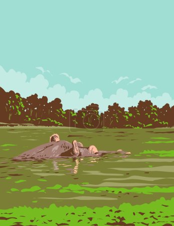 Ilustración de Cartel Art Deco o WPA de un hipopótamo o hipopótamo en el Parque Nacional Loango en la costa atlántica de Gabón en África Central hecho en estilo de administración de proyectos de obras - Imagen libre de derechos