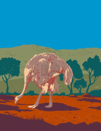 Ilustración de Cartel Art Deco o WPA de un avestruz común o avestruz somalí, un gran pájaro sin vuelo que se encuentra en la región del Sahel o en la sabana saheliana de acacia de África, hecho en estilo de administración de proyectos de obras - Imagen libre de derechos