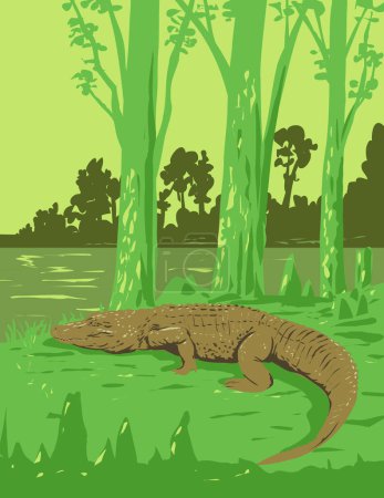 Téléchargez les illustrations : Affiche Art déco ou WPA d'un alligator dans le parc historique national et réserve de parc national Jean Lafitte situé dans la région du delta du Mississippi, Louisiane États-Unis, réalisée dans le style de l'administration du projet de travaux - en licence libre de droit