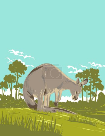 Téléchargez les illustrations : Affiche art déco ou WPA d'un kangourou dans le parc national de Murramarang sur la côte sud de la Nouvelle-Galles du Sud NSW, Australie fait dans le style d'administration de projet de travaux - en licence libre de droit