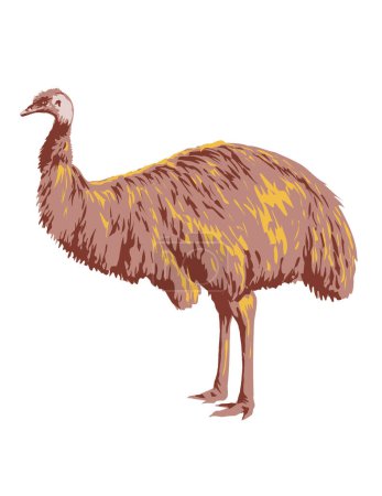 Illustration for Art Deco or WPA poster of an emu viewed from side on isolated white background done in works project administration style. - Royalty Free Image