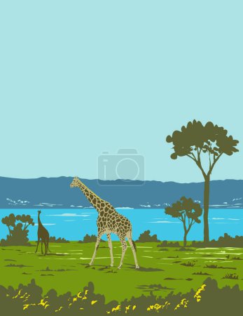 Téléchargez les illustrations : Affiche art déco ou WPA d'une girafe ou Giraffa camelopardalis dans le parc national de Murchison Falls près de Masindi en Ouganda, Afrique réalisée dans le style d'administration de projet de travaux - en licence libre de droit