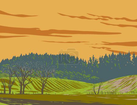 Illustration for WPA poster art of the hillside vineyards in the Napa Valley wine region north of San Francisco, in California, United States USA done in works project administration or federal art project style - Royalty Free Image