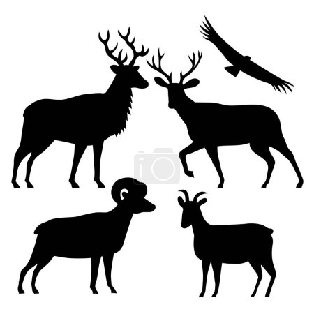 Stencil illustration of silhouette of American wildlife of an elk or wapiti, mule deer, male and female bighorn sheep and California condor on isolated background done in black and white retro style