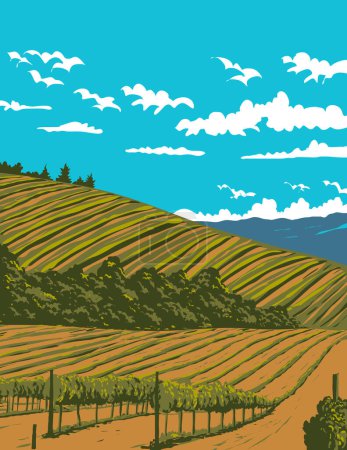 WPA poster art of the vineyards in Sonoma Valley wine region in Sonoma County is in Northern California, United States USA done in works project administration or federal art project style