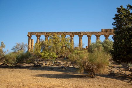 Photo for Ruins in Temple Valley near Agrigento, Sicily, Italy - Royalty Free Image