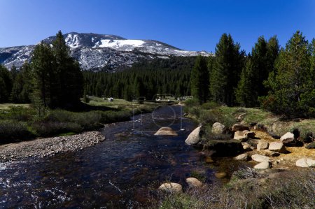 Téléchargez les photos : Merced River Flowing Away From Camera Through Yosemite National Park With Green Trees And Granite Mountain - en image libre de droit