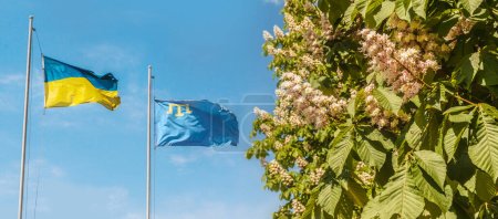 Foto de Flying flag of Ukraine and Crimea in the blue sky (en inglés). Símbolos estatales de Ucrania - Imagen libre de derechos