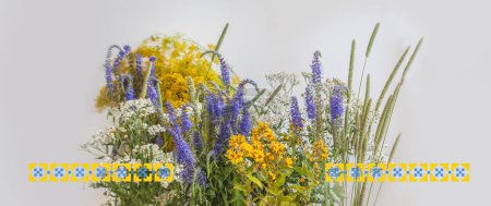 Photo for Background with wild flowers of yellow and blue colors for Independence Day of Ukraine or Statehood Day of Ukraine. Plants of water meadows of Polissya, a symbol of  nature of Ukraine. - Royalty Free Image
