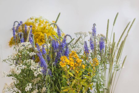 Photo for Bouquet of Achillea ptarmica, Veronica longifolia, Galium , Lysimachia vulgaris. Plants of water meadows of Polissya, a symbol of the nature of Ukraine. - Royalty Free Image