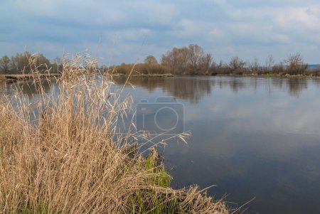 Photo for Flooding on the river in early spring in Ukraine - Royalty Free Image