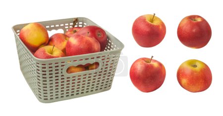 Téléchargez les photos : Ensemble pomme variété d'hiver Gala dans un panier en plastique sur un fond blanc isolé - en image libre de droit