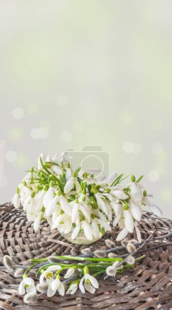 Bouquet of snowdrops (galantus) in   cup on a wicker table . Place for text. Background for a banner, calendar, story, post on social networks