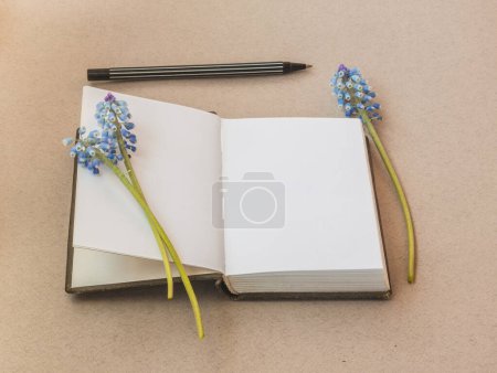 A notepad with blank pages, three muscari flowers and a pen on the table.
