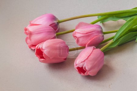 Téléchargez les photos : Bouquet de cinq tulipes roses sur fond gris. Horizontal. Contexte pour un calendrier, une carte postale, une bannière, un message sur les réseaux sociaux. Place pour le texte. - en image libre de droit