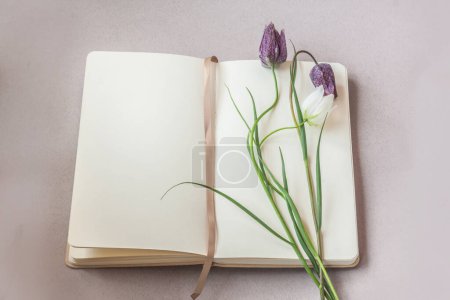 Téléchargez les photos : Carnet ouvert ou carnet de croquis et floraison de Fritillaria meleagris sur une table grise. Pose plate. Contexte d'un calendrier, d'une bannière ou d'un message sur les médias sociaux. Place pour le texte. - en image libre de droit