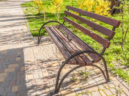 Téléchargez les photos : Banc en bois vide dans le parc par une journée ensoleillée de printemps - en image libre de droit