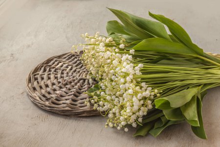 Bouquet  lilies of the valley (Convallaria majalis) on  basket  on a gray table. Symbol of the first of May in France "Lily of the Valley Day" (Le jour du Muguet)