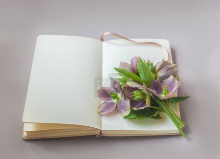 Orientalische Blüten auf einem offenen Skizzenbuch mit einer leeren Seite auf einem grauen Tisch.