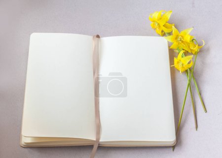 Foto de 'Pagoda' de eritronio, o lirio cervatillo, lirio de trucha, diente de perro violeta o lengua de víbora, en cuaderno abierto con una página en blanco en una mesa gris. - Imagen libre de derechos