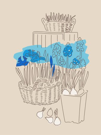 Illustration for Vector illustration of blooming muscari and bulbous irises in a basket. Stylization of a drawing with one line and a spot of color. - Royalty Free Image