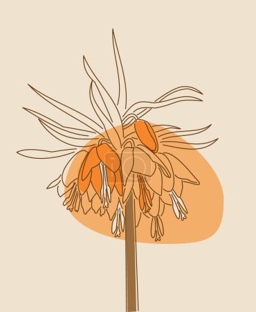 Vektorlineare Illustration, Skizze einer blühenden Kaiserfritillaria auf beigem Hintergrund und orangefarbenem Fleck. Hintergrund für Postkarte, Banner..
