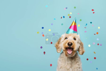 Joyeux chien labradoodle mignon portant un chapeau de fête célébrant à une fête d'anniversaire, entourant en tombant confettis
