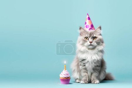 Foto de Gato esponjoso celebrando con sombrero de fiesta y cupcake de cumpleaños con una vela de cumpleaños - Imagen libre de derechos