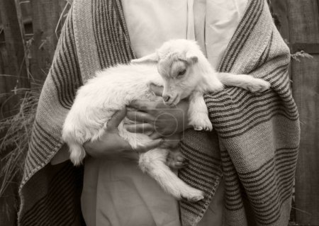 Viejo retro árabe rural lindo blanco joven crianza chico divino trabajador encontrar pequeño lindo bebé ganado rebaño mascota. Oriente Medio asiático árabe católica creer hebreo paño judío sirviente nómada orar amor esperanza historia