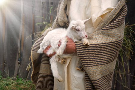 Old retro Arabian rural cute white young breed boy guy divine worker find small cute baby cattle herd pet. Middle east Asian Arab catholic believe Hebrew cloth Jew servant nomad pray love hope history